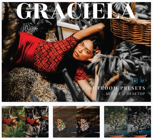 [Elements.Envato] Graciela Mobile and Desktop Ligh_0.jpg